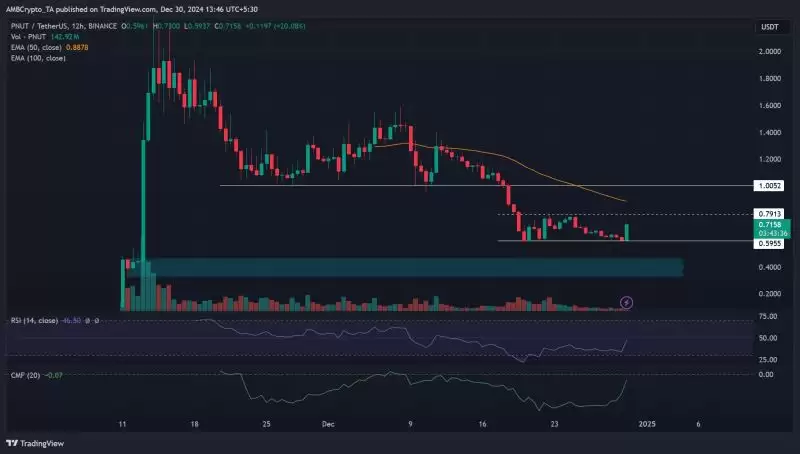 PNUT币即将暴涨?鲸鱼抢夺600万美元PNUT反弹即将来临的迹象?
