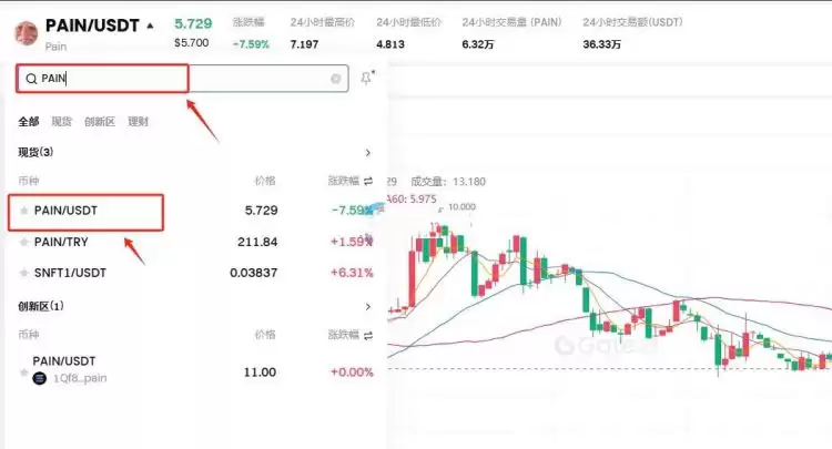 PAIN是什么币？发行价多少？什么时候上市？