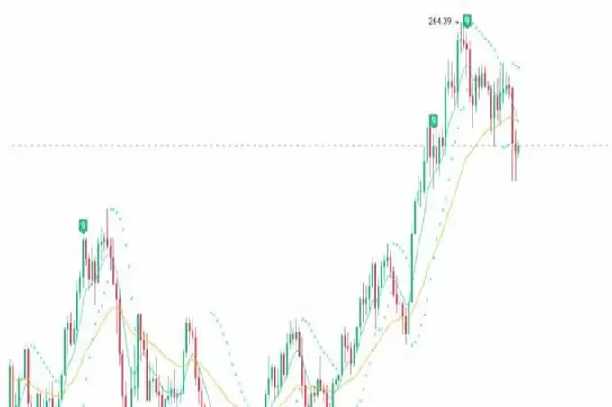 2025牛市已经来临!几种可能具有涨幅100%潜力的山寨币!
