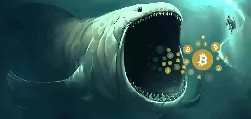 币圈赚钱吗？2025年币圈为什么很难赚钱了？