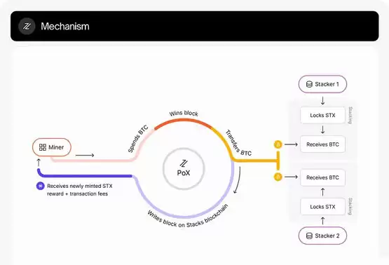 一文了解2025 比特币生态 扩展技术与安全事件汇总