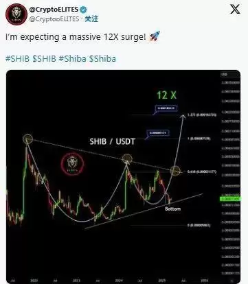 2025年4月柴犬币（SHIB）价格大爆发预期,能否刷新历史新高？