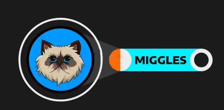 MIGGLES币2025能涨到多少?MIGGLES币未来前景分析