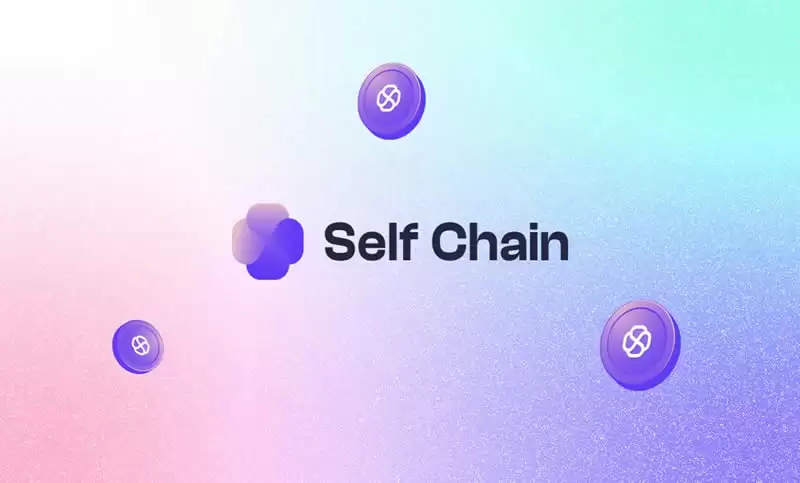 SLF(前FRONT)币是什么?SLF币未来如何?SLF币价格预测全教学