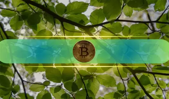 比特币是否准备反弹至10万美元？看跌人群暗示如此