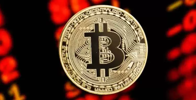 2025年币圈投资方向预测