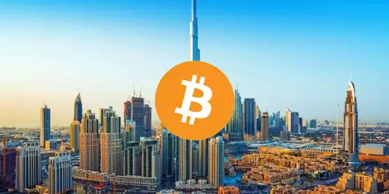 阿布扎比主权基金投资超4亿美元贝莱德比特币ETF！赵长鹏暗示可能持有更多