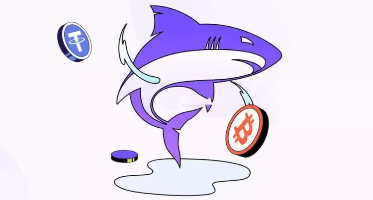 鲨鱼鳍是保本型结构化产品吗？鲨鱼鳍安全吗？