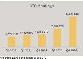 矿企MARA 2024全年大赚五亿美元！HODL策略带来比特币增值效应