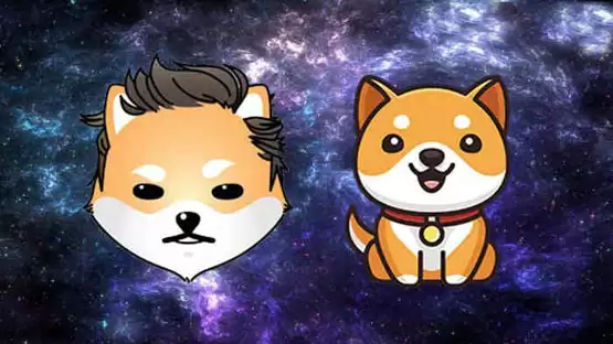 ELON币发行价格多少？ELON币发行价格和发行时间介绍