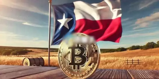 美国德克萨斯州众议院提议比特币储备法案：州政府最高可拨2.5亿美元买入BTC