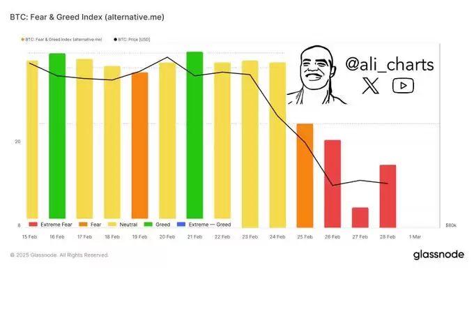 为何 XRP、Cardano、以太坊、比特币和 Solana 价格上涨？