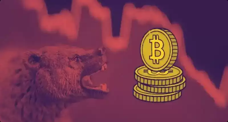 加密货币只是下跌还是要崩盘了？