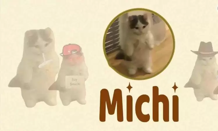 MICHI币能涨多少？MICHI币还可以吗？怎么买？