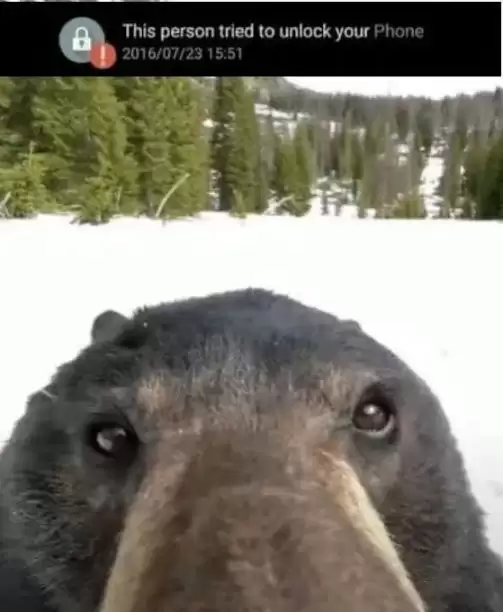 现在是币圈熊市吗？这场熊市很可能会比上一次更糟