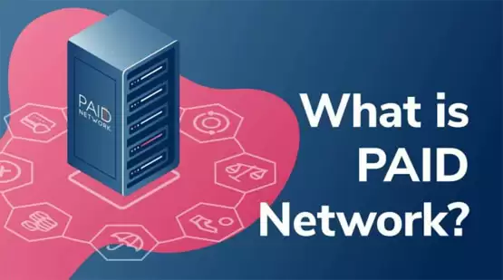 一文搞清PAID币总量多少?PAID币发行量介绍