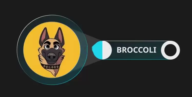 BROCCOLI是什么币？BROCCOLI币的前世今生介绍