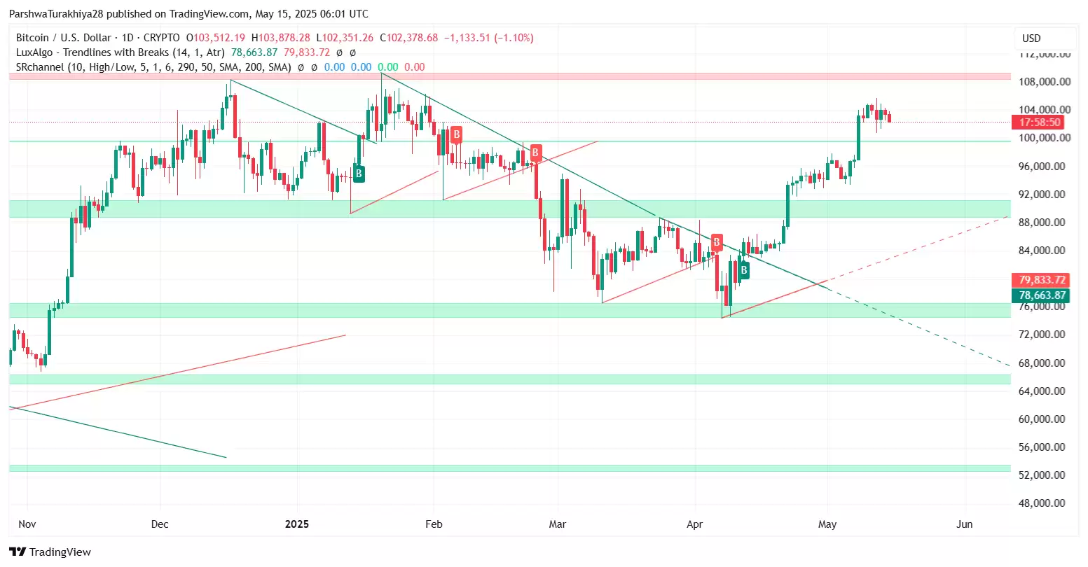 谁是2025年百倍币？BTC将暴涨至30万美元？BTC价格预测