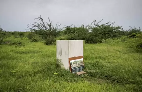 区块链城市：迪拜拟建17层加密塔 日本东京将迎比特币豪华饭店