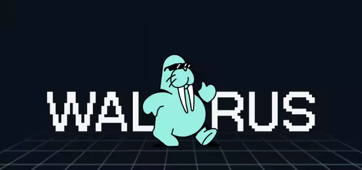 Walrus(WAL)币是什么？WAL币潜力如何？WAL币未来展望