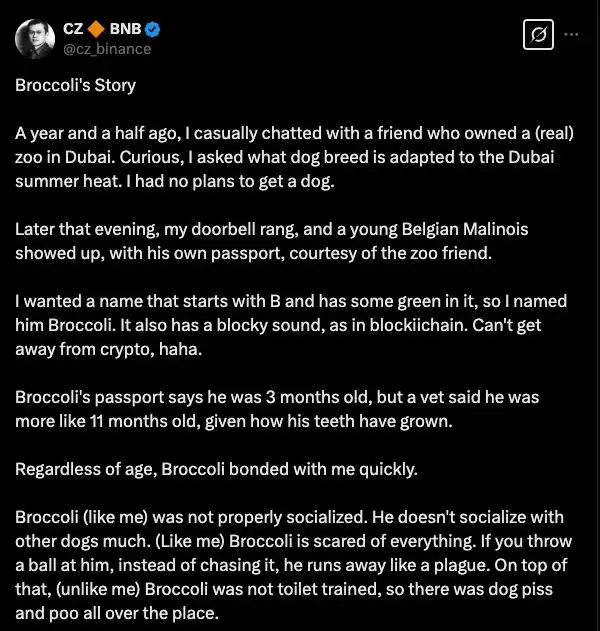 一文详解Broccoli币的起源、社群行为、风险与未来发展潜力