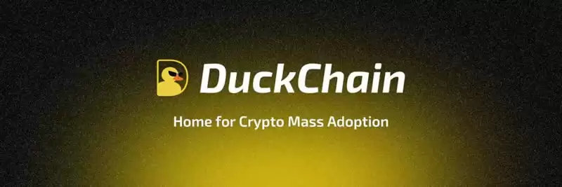 DuckChain(DUCK)币是什么?DUCK代币经济学及路线图详解