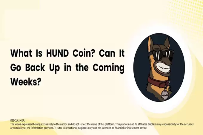 HUND 硬币是什么?它能在未来几周内回升吗?