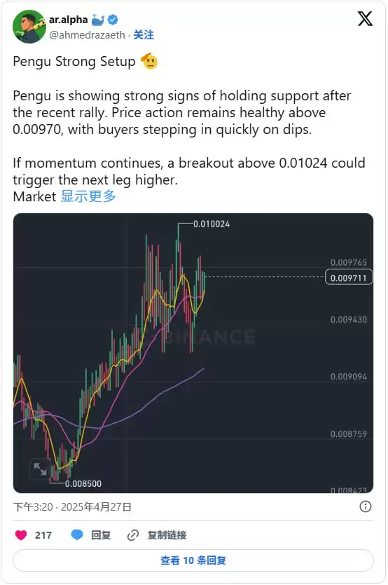 Pudgy Penguins(PENGU)币是什么？PENGU币空投及未来价格预测