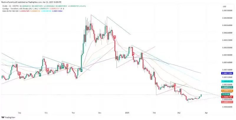 FLOKI币价格预测:会不会涨到1美元?(2025-2030)