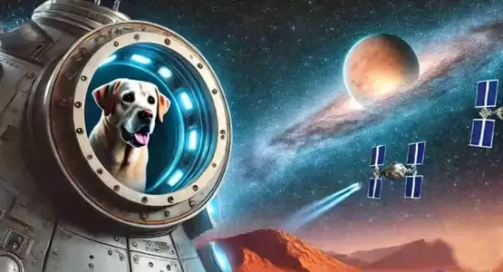 ELON币价格走势图