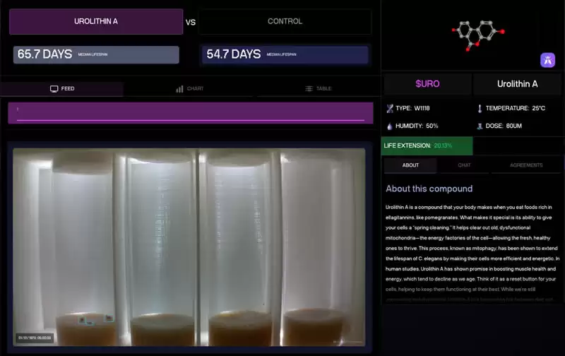 URO币是什么？值得投资吗？2025-2030年UniRouter(URO)价格预测
