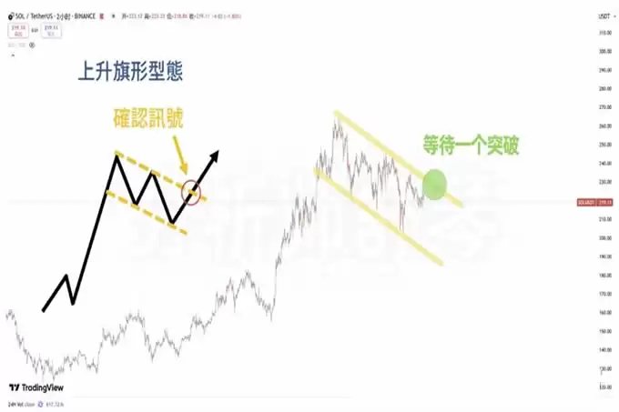 币圈黑马币曝光!Sol资金还在吗？Puffer还能买？