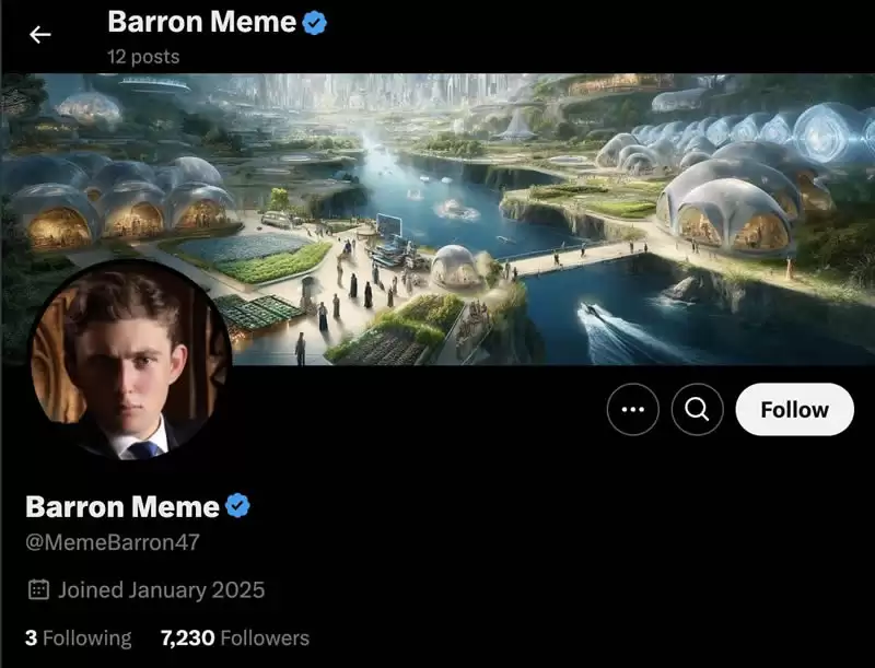 特朗普全系列MEME币有哪些？特朗普全系列MEME币汇总分析