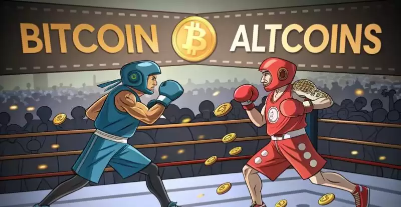 2025年山寨季是否会到来？有望超越比特币的3种山寨币