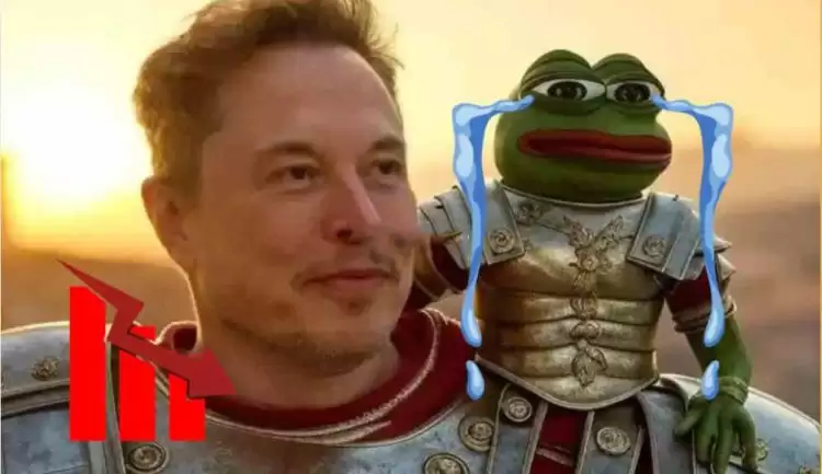 KEKIUS是什么币种？KEKIUS币值得长期持有吗？