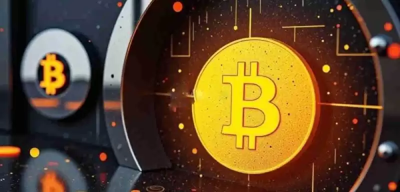 比特币杠杆亏了怎么办?比特币杠杆亏了要赔多少钱?