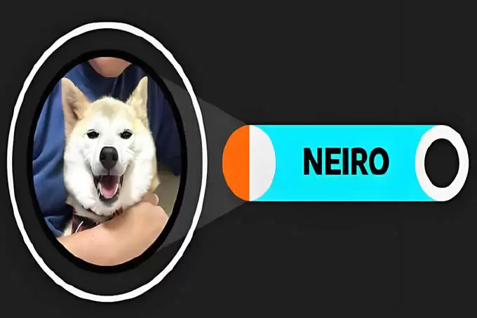 meme币有多少种?主流meme币种类介绍