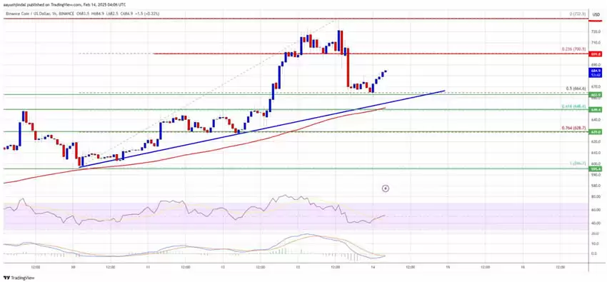 BNB币持续上涨,价格有望再次上涨吗？能否冲击800美元大关？