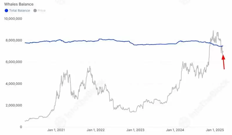 加密市场流动性持续紧缩,牛回头还是牛到头?