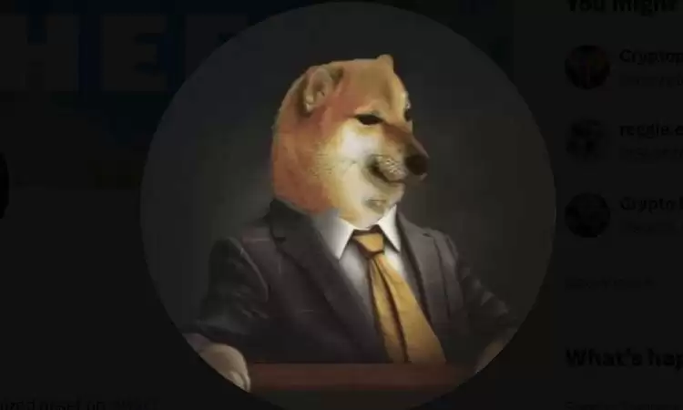 1000CHEEMS上线交易所有哪些？怎么买？1000CHEEMS币购买教程