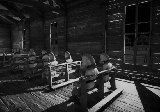 Horse遭Steam下架引发争议:涉法律红线还是审查过度?