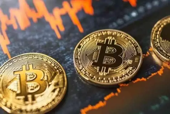 提币地址是充币地址吗？提币地址和充币地址的区别是什么？