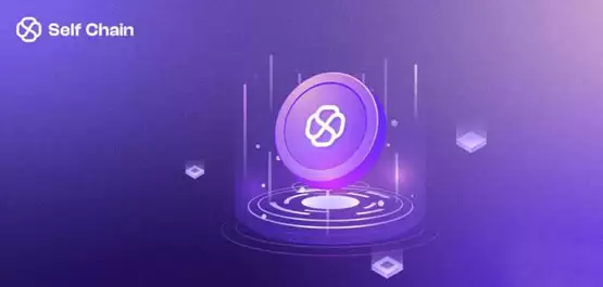 SLF币怎么样？SLF币可以长期持有吗？