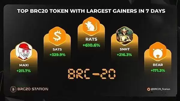 揭秘潜力币种RATS:未来前景与潜力