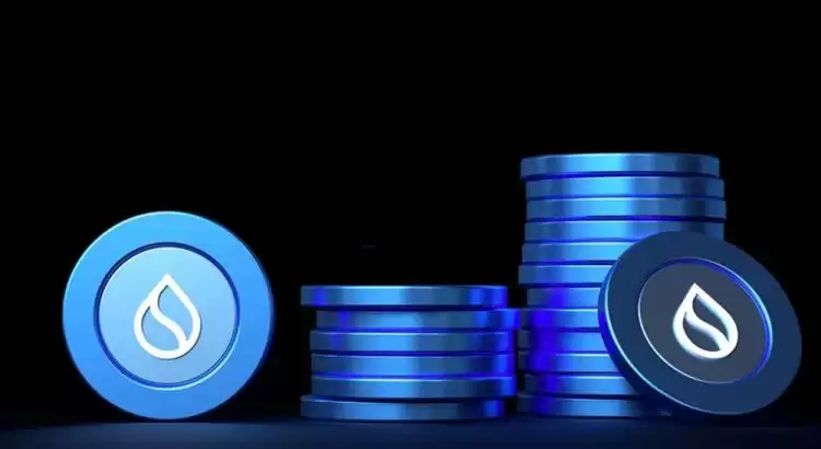 SUI币2025年牛市可以涨多少？会爆发吗？