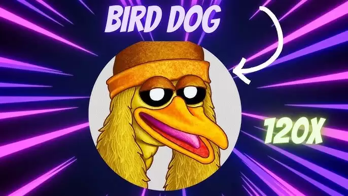 BIRDDOG币是什么？如何获得？BIRDDOG币未来前景如何？