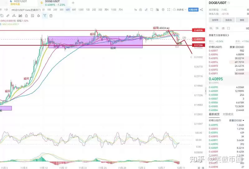 狗狗币(DOGE)现在还能入手吗?今年能否跨过0.5美元,冲到1美金吗?