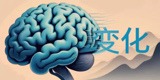 趋势之上、周期之间:比特币「回调时刻」的冷思考解读