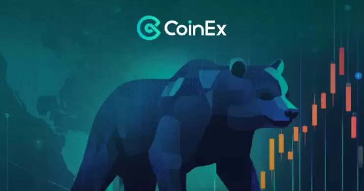 熊市怎么应对？如何在熊市中避免损失？