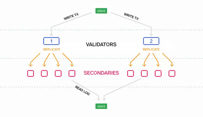 什么是Pod Network?Pod Network项目介绍、团队、融资